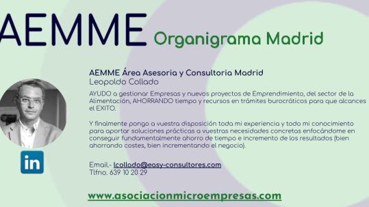 AEMME Área Asesoría y Consultoría